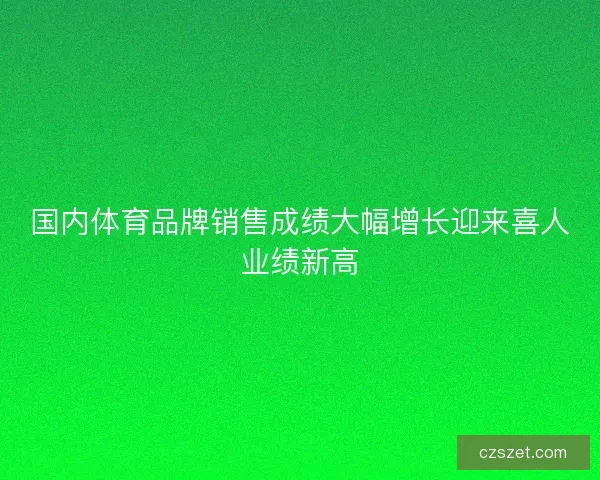 国内体育品牌销售成绩大幅增长迎来喜人业绩新高