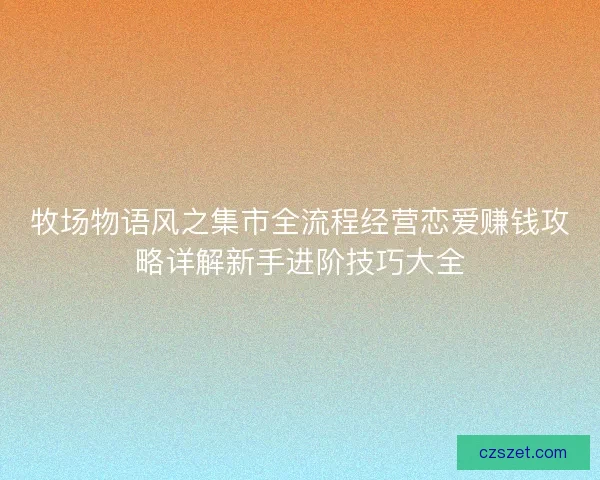 牧场物语风之集市全流程经营恋爱赚钱攻略详解新手进阶技巧大全